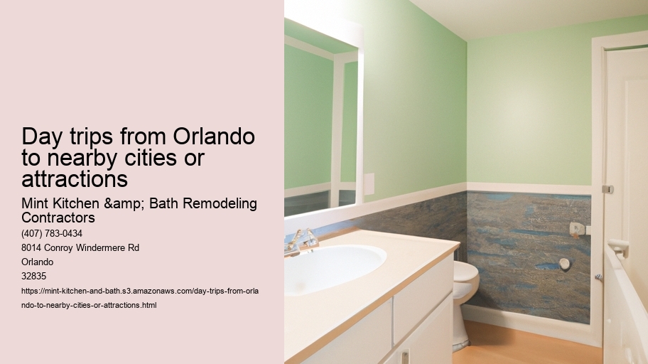 Day trips from Orlando to nearby cities or attractions